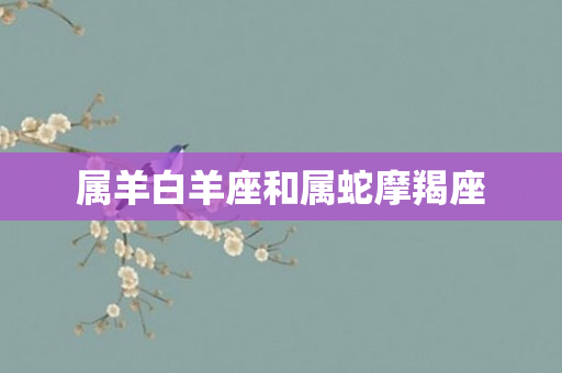 属羊白羊座和属蛇摩羯座