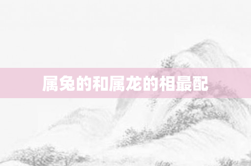 属兔的和属龙的相最配