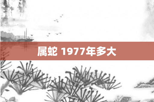 属蛇 1977年多大