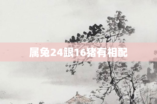 属兔24跟16猪有相配
