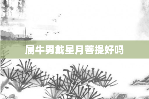 属牛男戴星月菩提好吗