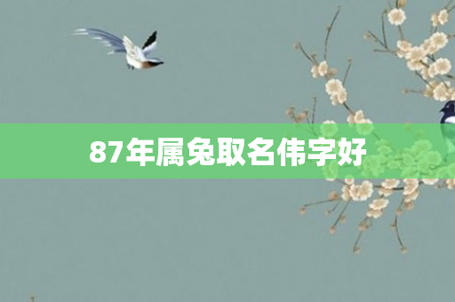 87年属兔取名伟字好