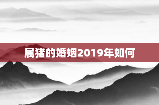 属猪的婚姻2019年如何