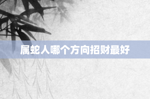 属蛇人哪个方向招财更好
