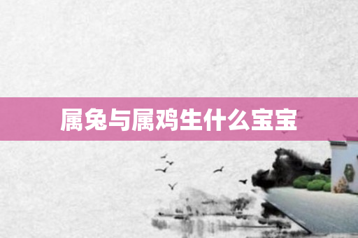 属兔与属鸡生什么宝宝