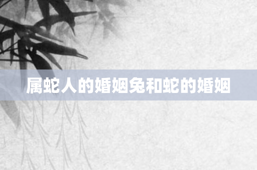 属蛇人的婚姻兔和蛇的婚姻