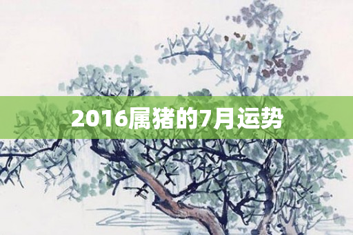 2016属猪的7月运势