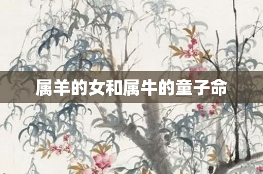 属羊的女和属牛的童子命