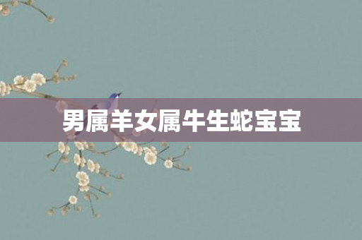 男属羊女属牛生蛇宝宝