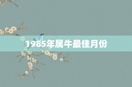 1985年属牛更佳月份