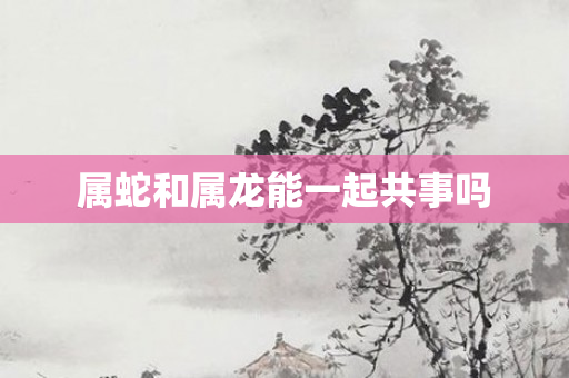 属蛇和属龙能一起共事吗
