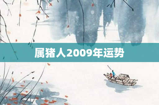 属猪人2009年运势