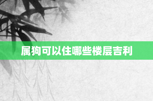 属狗可以住哪些楼层吉利