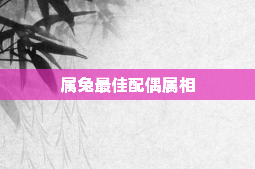 属兔更佳配偶属相