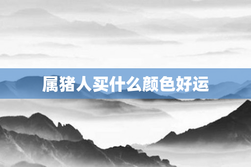 属猪人买什么颜色好运