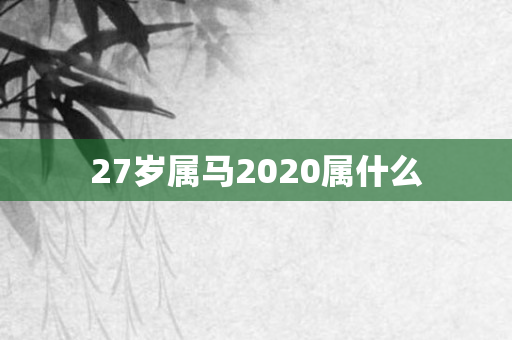 27岁属马2020属什么