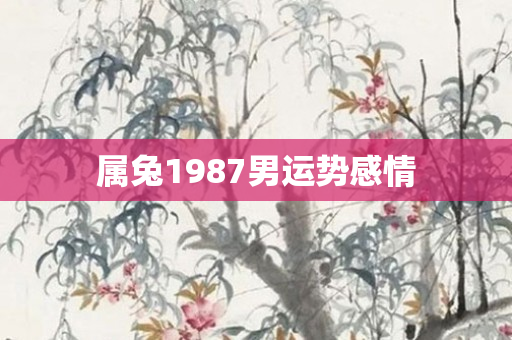 属兔1987男运势感情