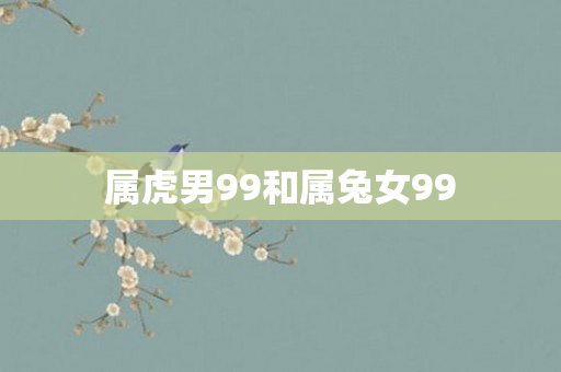 属虎男99和属兔女99