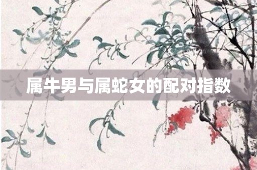 属牛男与属蛇女的配对指数