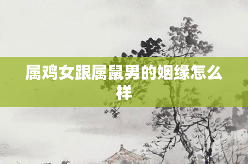 属鸡女跟属鼠男的姻缘怎么样