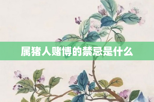 属猪人赌博的禁忌是什么
