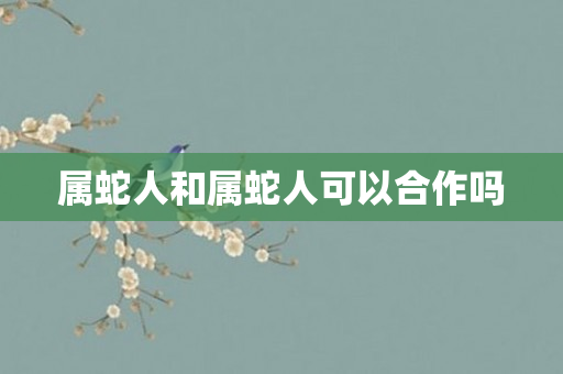 属蛇人和属蛇人可以合作吗