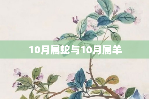 10月属蛇与10月属羊