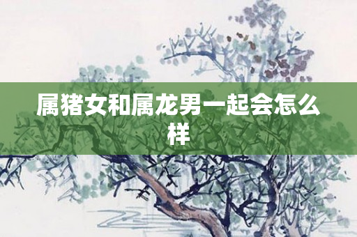 属猪女和属龙男一起会怎么样