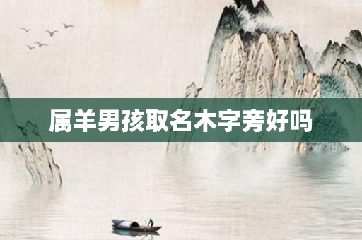 属羊男孩取名木字旁好吗