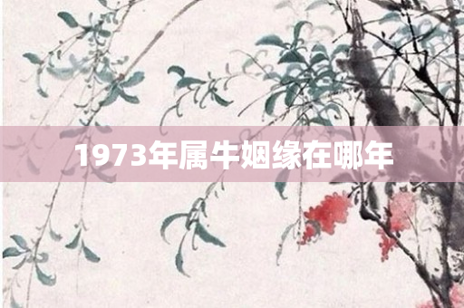 1973年属牛姻缘在哪年