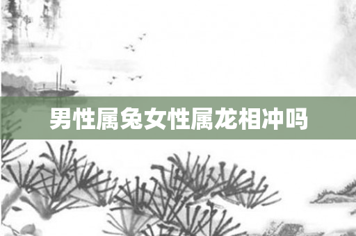 男性属兔女性属龙相冲吗