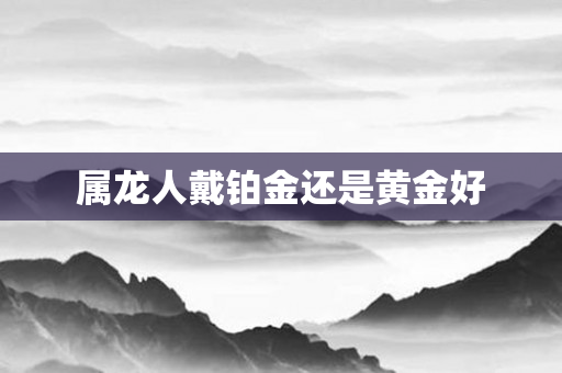 属龙人戴铂金还是黄金好