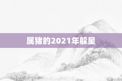 属猪的2021年躲星