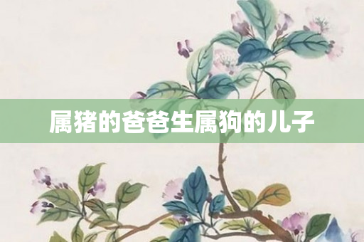 属猪的爸爸生属狗的儿子