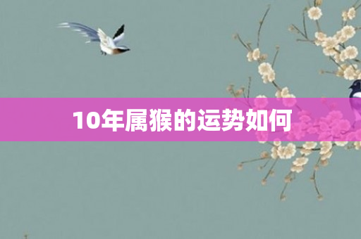 10年属猴的运势如何