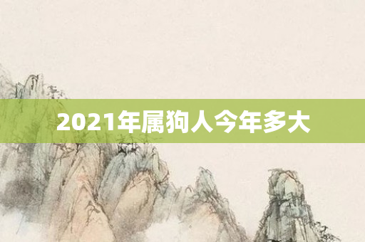 2021年属狗人今年多大
