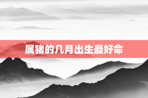 属猪的几月出生更好命