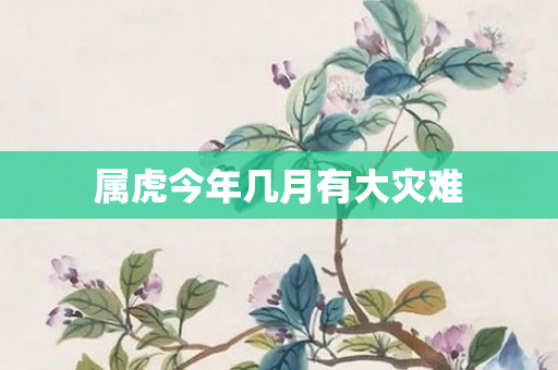 属虎今年几月有大灾难