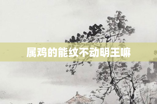 属鸡的能纹不动明王嘛