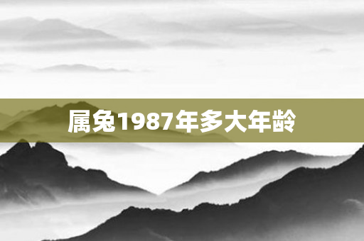 属兔1987年多大年龄