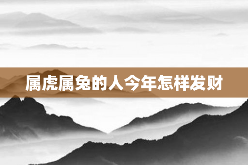 属虎属兔的人今年怎样发财