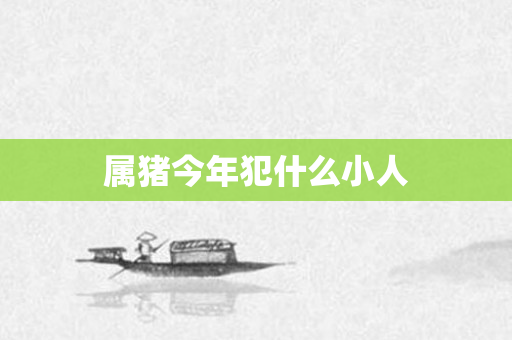 属猪今年犯什么小人