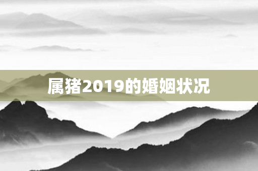 属猪2019的婚姻状况