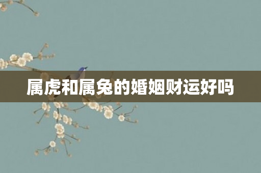 属虎和属兔的婚姻财运好吗
