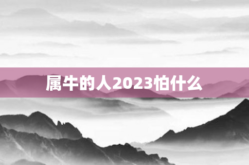 属牛的人2023怕什么