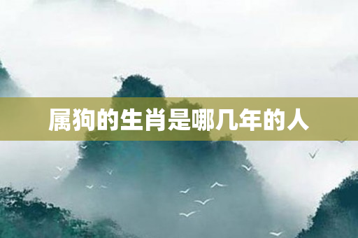 属狗的生肖是哪几年的人