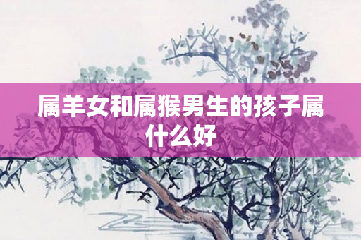 属羊女和属猴男生的孩子属什么好