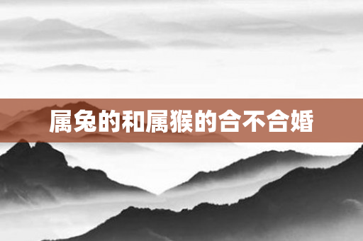 属兔的和属猴的合不合婚