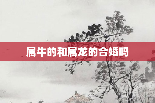 属牛的和属龙的合婚吗
