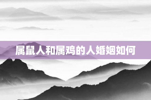 属鼠人和属鸡的人婚姻如何